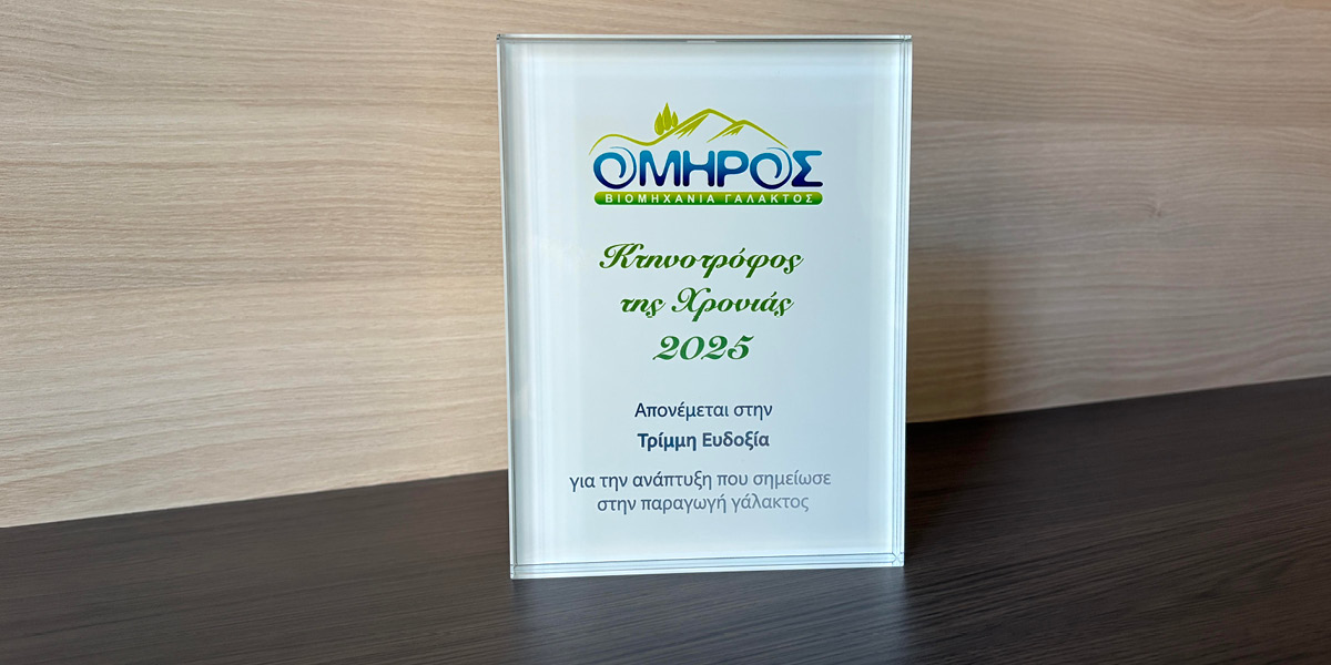 Κρυστάλλινη αναμνηστική πλακέτα από την Printcom
